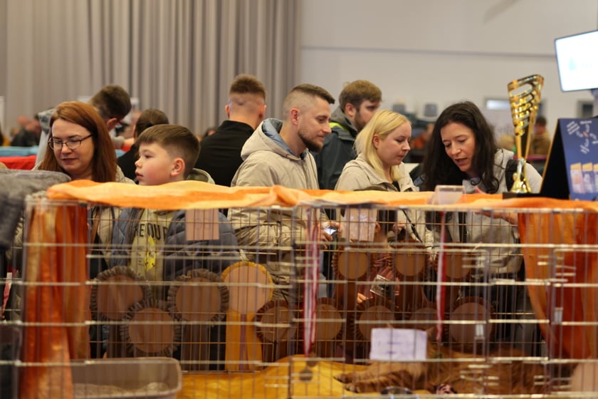 Dolnośląskie Targi Zoologiczne na Tarczyński Arena