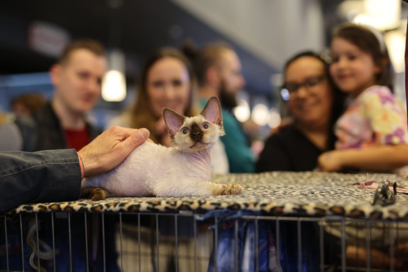Dolnośląskie Targi Zoologiczne na Tarczyński Arena