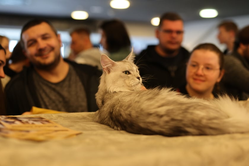 Dolnośląskie Targi Zoologiczne na Tarczyński Arena