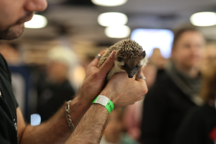 Dolnośląskie Targi Zoologiczne na Tarczyński Arena
