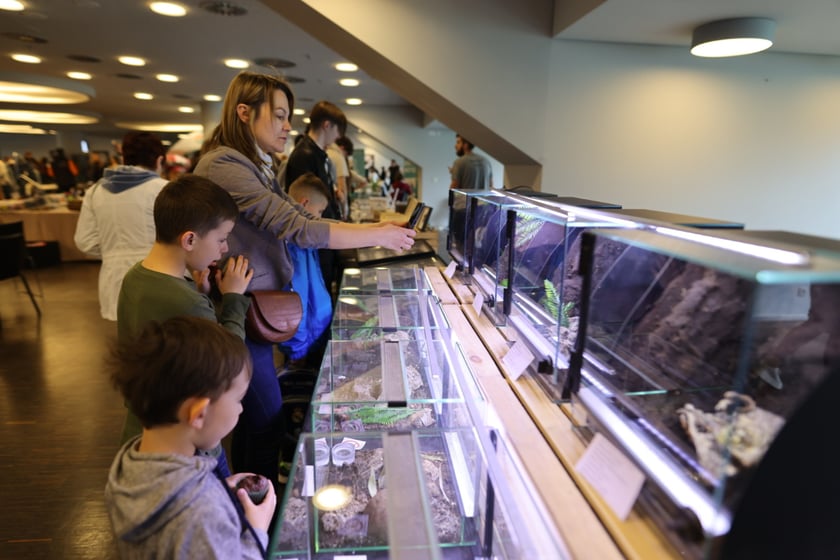 Dolnośląskie Targi Zoologiczne na Tarczyński Arena