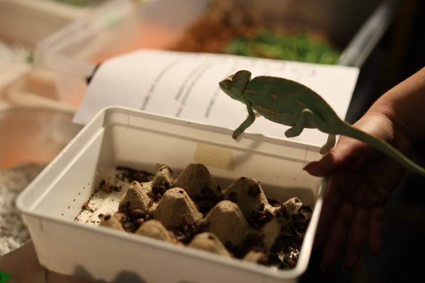 Dolnośląskie Targi Zoologiczne na Tarczyński Arena