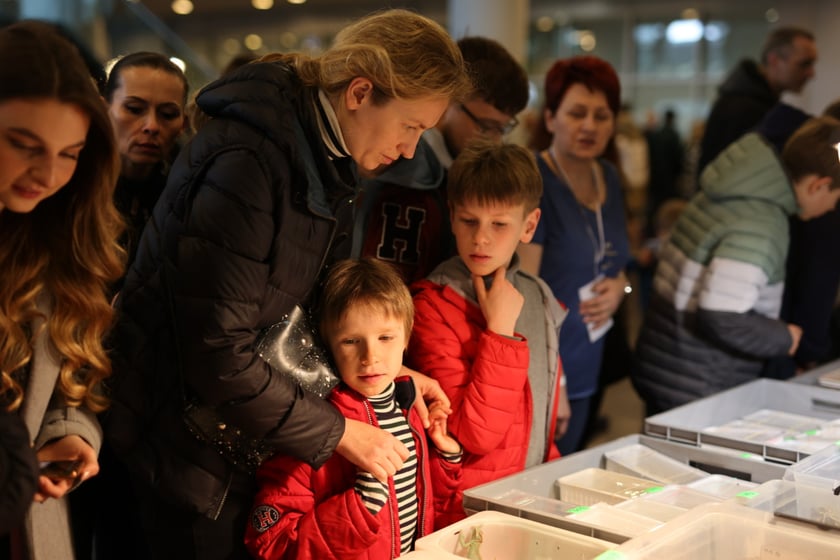 Dolnośląskie Targi Zoologiczne na Tarczyński Arena