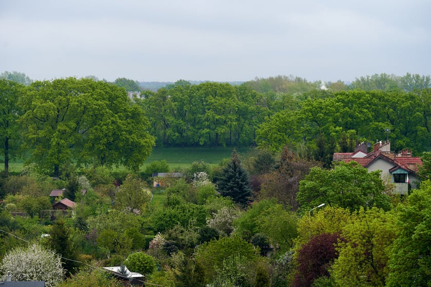 Bartoszowice z lotu ptaka