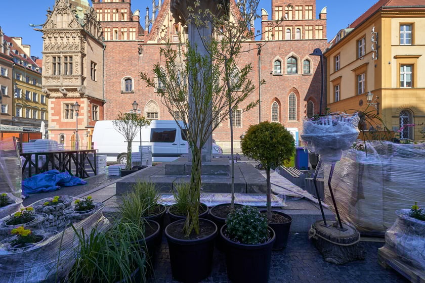 Rozstawianie Jarmarku Świętojańskiego, Wrocław 12 maja 2023