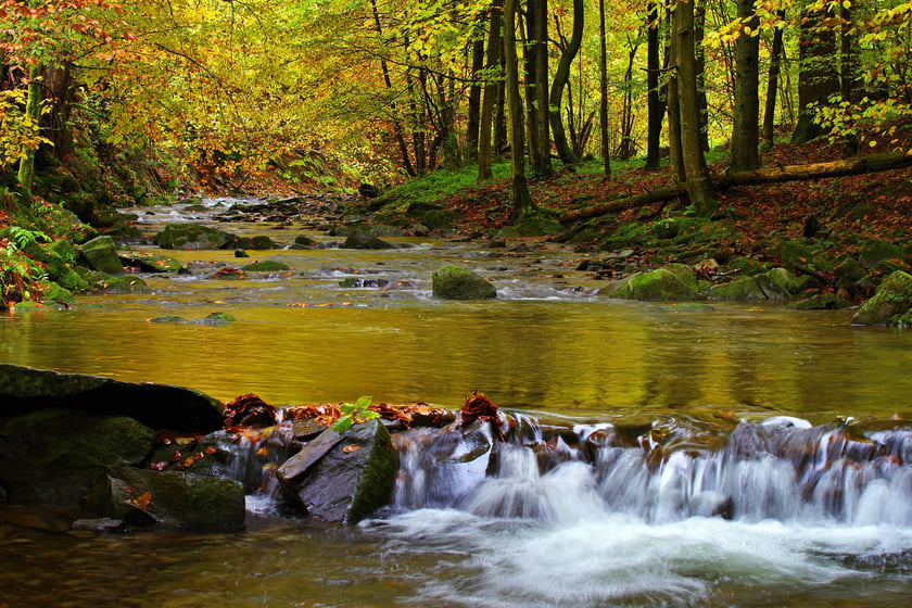 Na wakacje w Polsce warto wybrać się w Bieszczady.