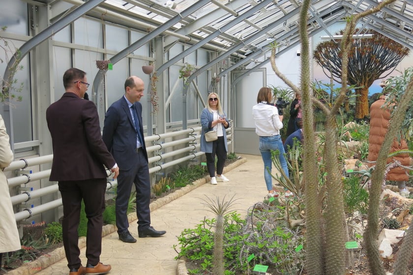 Szklarnia z sukulentami z Meksyku; gościom o roślinach opowiada prof. Zygmunt Kącki, dyrektor Ogrodu Botanicznego Uniwersytetu Wrocławskiego