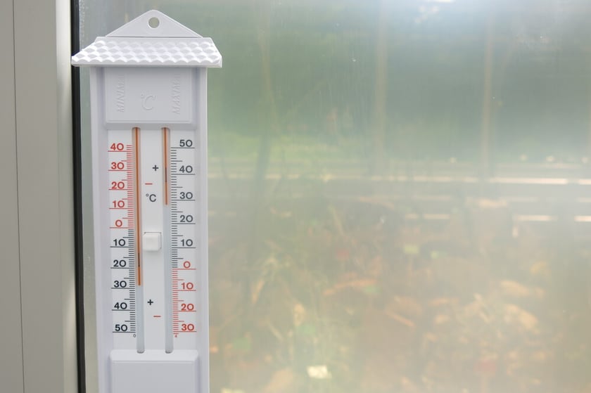 W szklarni do rozmnażania roślin panują specjalne warunki&nbsp;kontroli temperatury wilgotności i nasłonecznienia, wszystko po to, aby zmobilizować tkanki do wytwarzania korzeni i wzrostu.