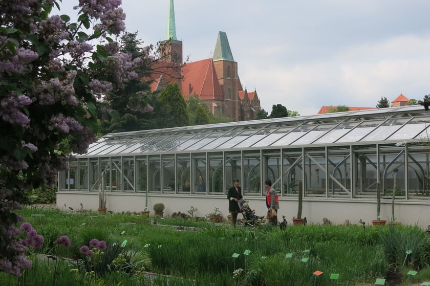 Widok na szklarnię