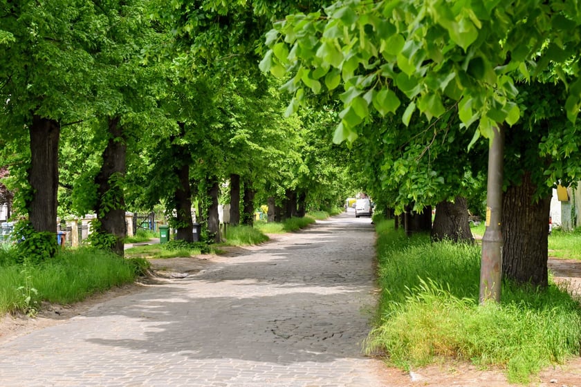 Ulica Pawia była główną drogą we wsi. Nazywała się Dorfstraße.