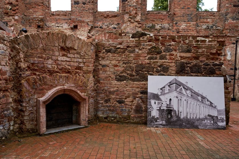 Pałacz w Goszczu