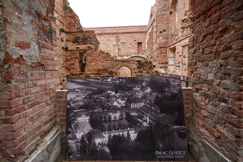 Pałacz w Goszczu