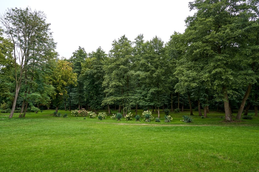 Pałacz w Goszczu