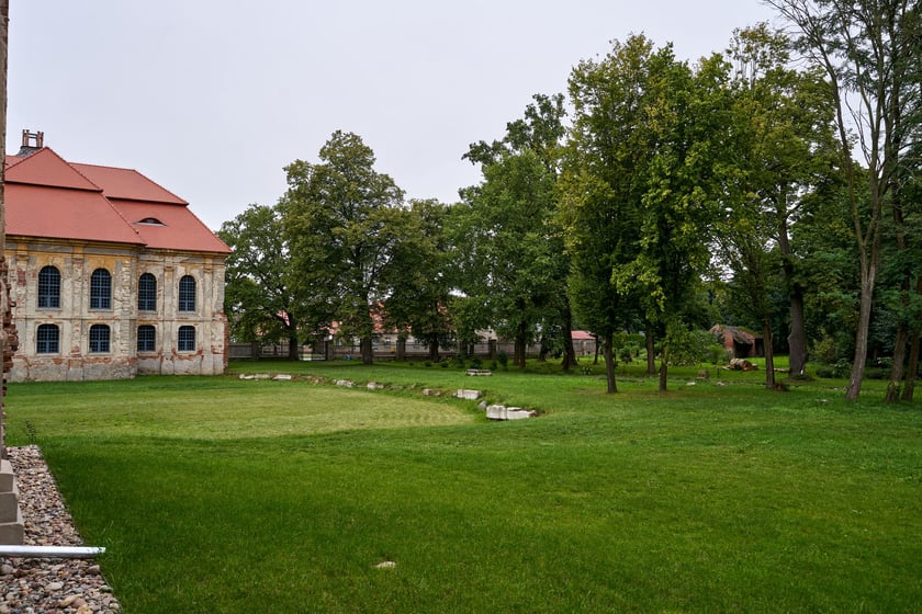 Pałacz w Goszczu