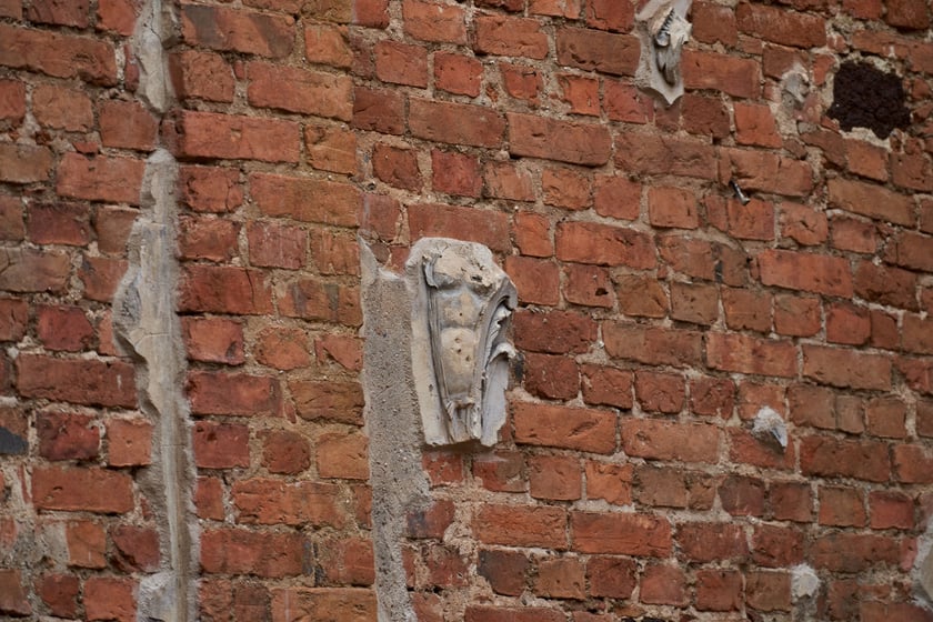 Pałacz w Goszczu