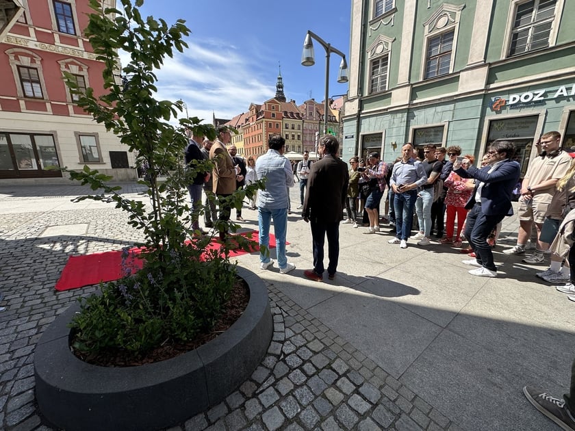 Uczestnicy spotkania z okazji zaprezentowania drzewa przyjaźni polsko-indyjskiej we Wrocławiu