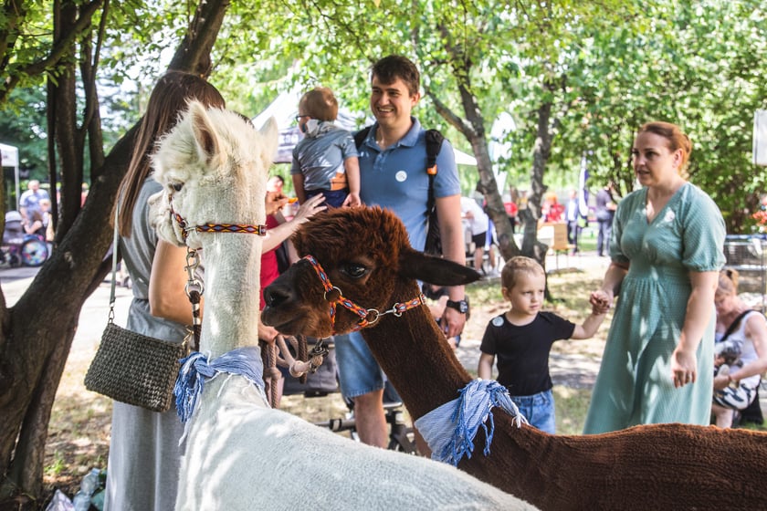 Rodzinny piknik charytatywny z okazji jubileuszu Fundacji ,,Potrafię Pomóc''