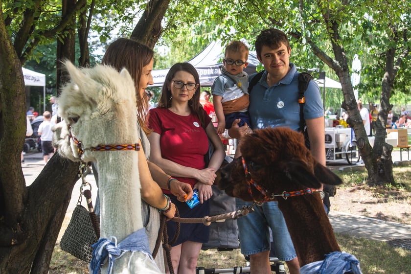 Rodzinny piknik charytatywny z okazji jubileuszu Fundacji ,,Potrafię Pomóc''