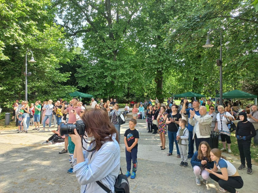 Świętojanki eMDKowskie w Ogrodzie Staromiejkim