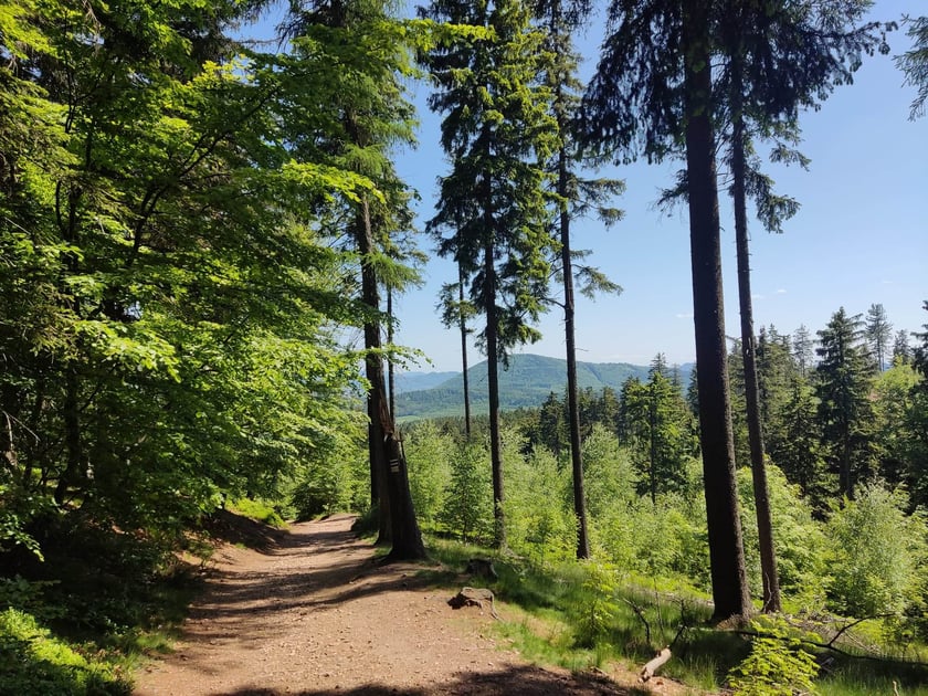 Wycieczka trasą na Trójgarb