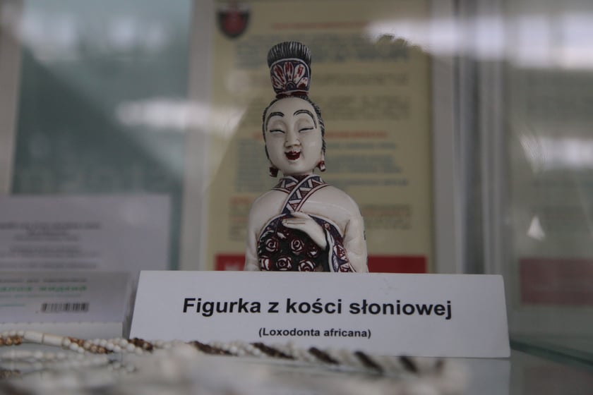 Ekspozycja na wrocławskim lotnisku z nielegalnymi przedmiotami przywiezionymi przez podróżnych
