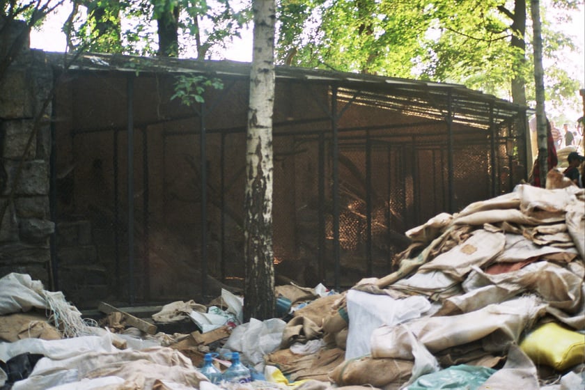Obrona wrocławskiego zoo podczas powodzi tysiąclecia