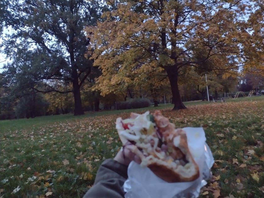 Park Skowroni