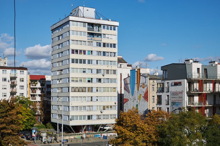 Trzonolinowiec