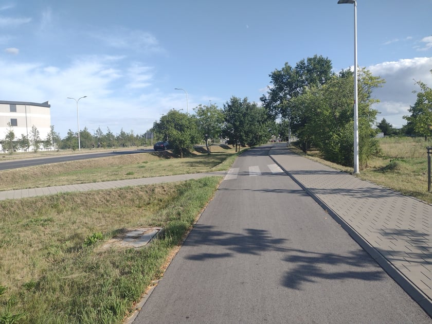 Na Promenadzie Krzyckiej, lipiec 2023