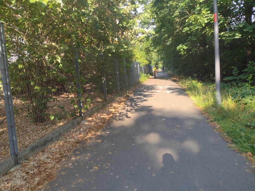 Na Promenadzie Krzyckiej, lipiec 2023