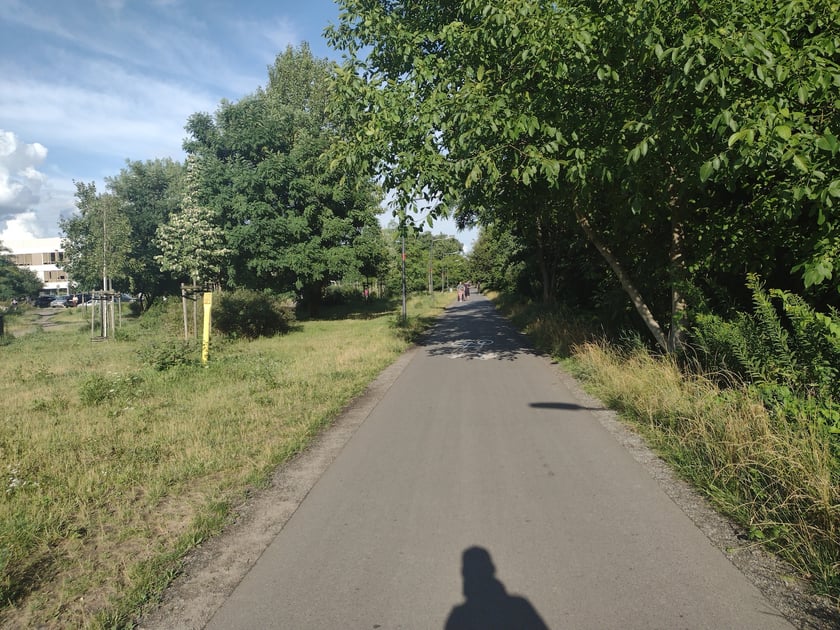 Na Promenadzie Krzyckiej, lipiec 2023