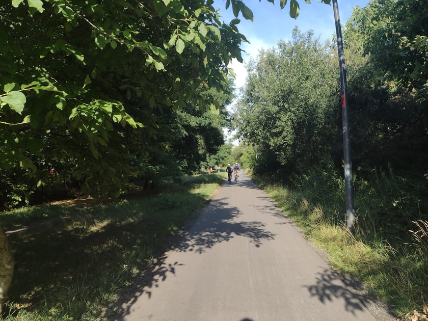 Na Promenadzie Krzyckiej, lipiec 2023