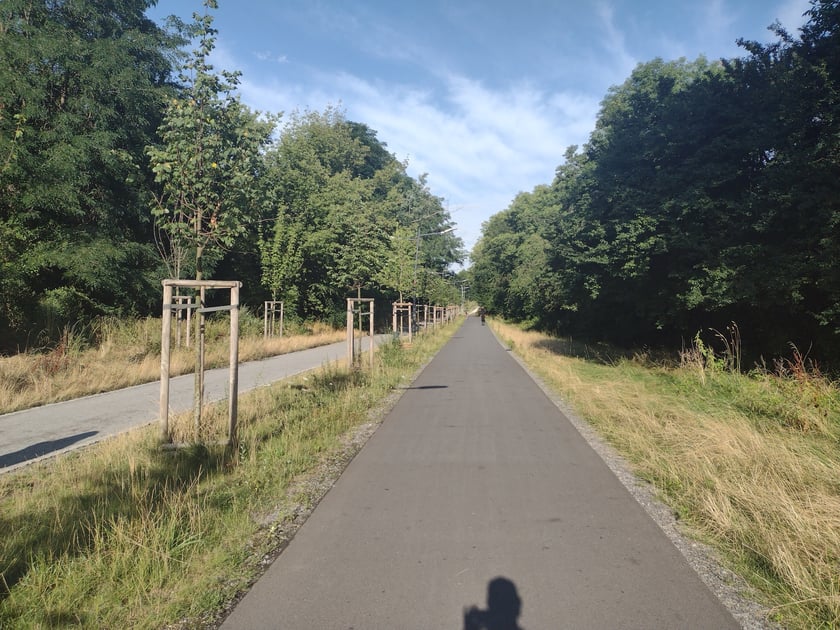 Na Promenadzie Krzyckiej, lipiec 2023