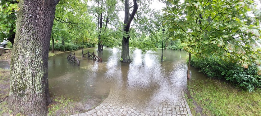 Zalany park na Brochowie we Wrocławiu