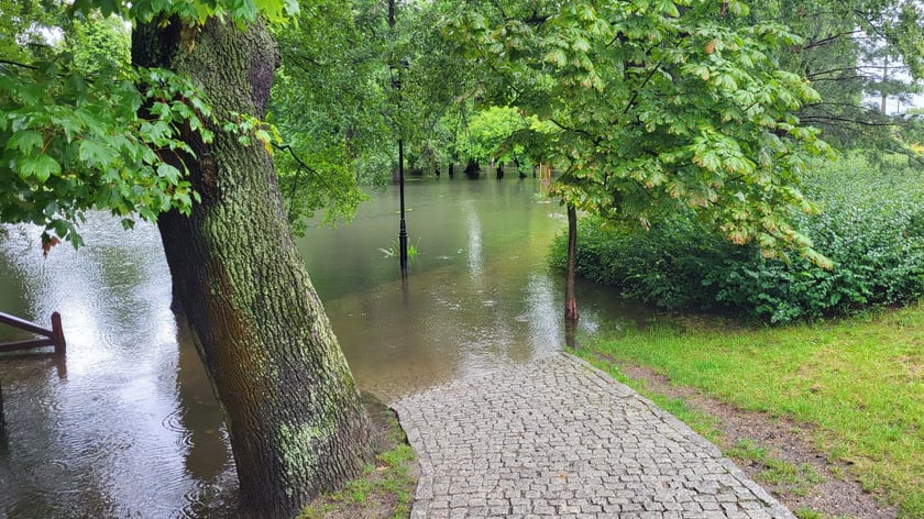 Zalany park na Brochowie we Wrocławiu