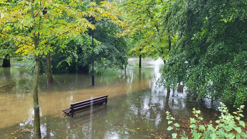 Zalany park na Brochowie we Wrocławiu