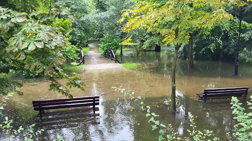 Zalany park na Brochowie we Wrocławiu