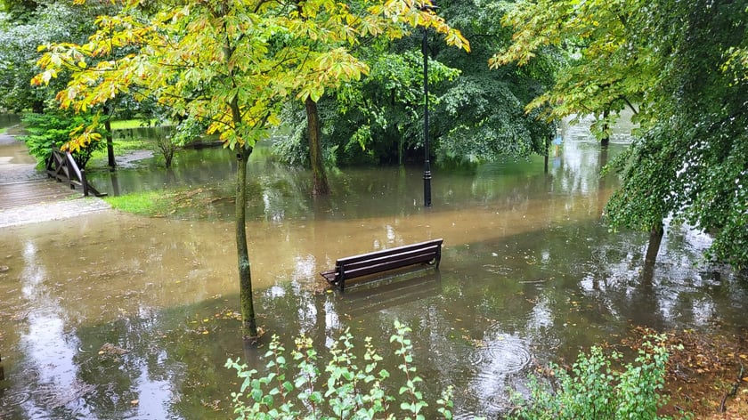 Zalany park na Brochowie we Wrocławiu
