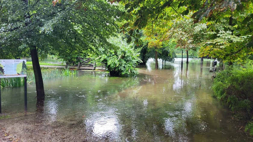 Zalany park na Brochowie we Wrocławiu