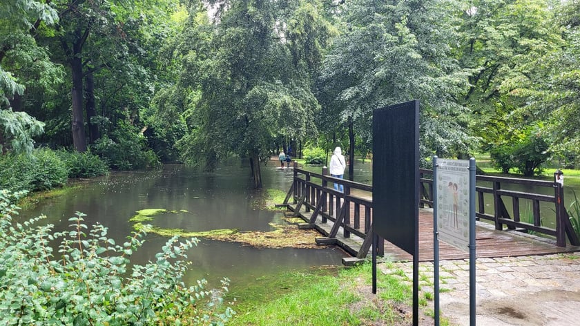 Zalany park na Brochowie we Wrocławiu