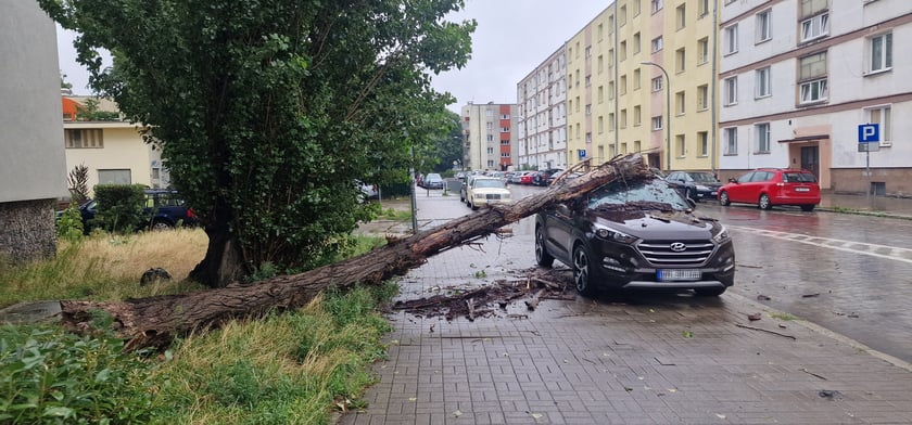 Pień drzewa pod wpływem wody spadł na samochód na ul. Grochowej (6.08.2023)