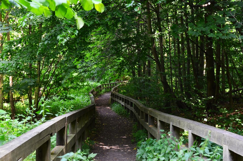 wycieczka z Wrocławia do Starego Książa i Książa