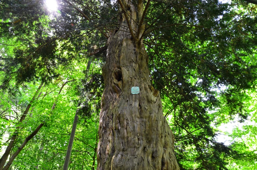 wycieczka z Wrocławia do Starego Książa i Książa