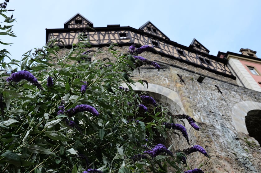 wycieczka z Wrocławia do Starego Książa i Książa