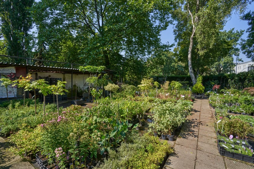 Słynny 30-letni sklep ogrodniczy przy ogrodzie botanicznym zamknięty! Co się stało?