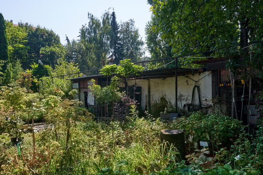 Słynny 30-letni sklep ogrodniczy przy ogrodzie botanicznym zamknięty! Co się stało?