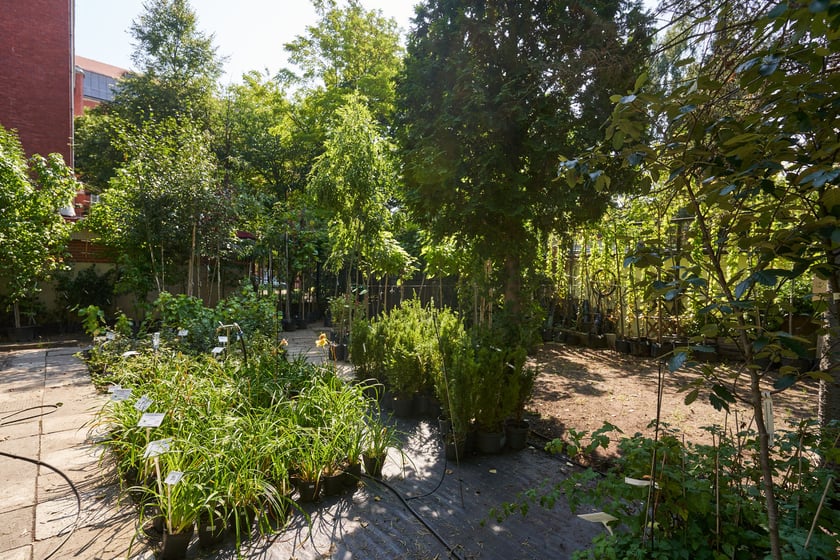 Słynny 30-letni sklep ogrodniczy przy ogrodzie botanicznym zamknięty! Co się stało?