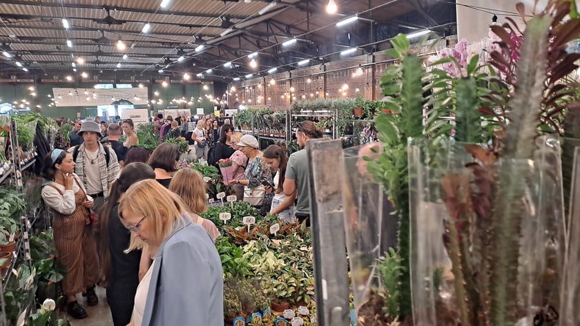 Fashion Meeting - Kupuj Świadomie w Czasoprzestrzeni