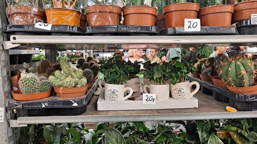 Fashion Meeting - Kupuj Świadomie w Czasoprzestrzeni