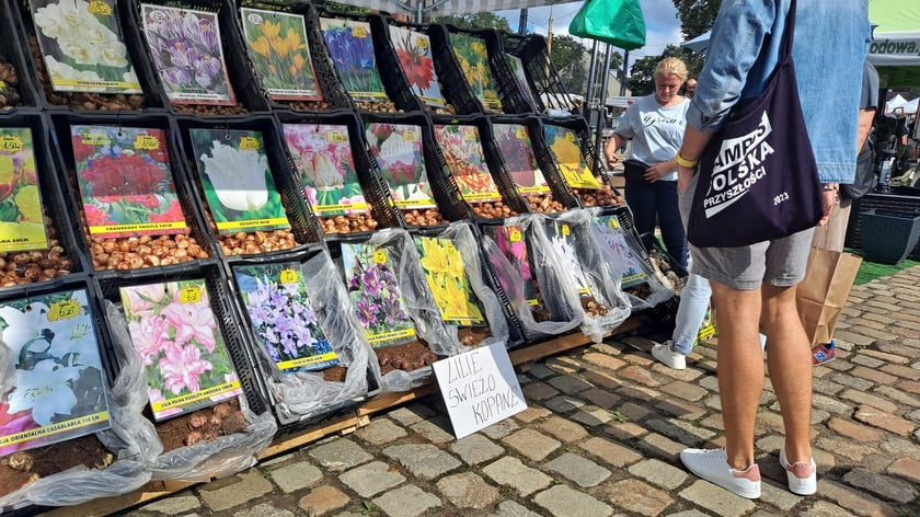 Fashion Meeting - Kupuj Świadomie w Czasoprzestrzeni
